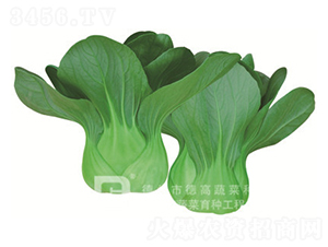 �¸�T668-�๣������-�¸�
