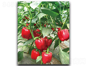 932-������