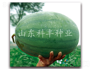 �ش��ɳ��-��������-�Ʒ���ҵ