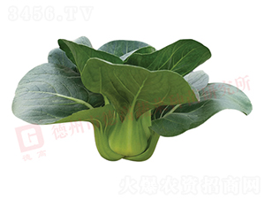 �¸�1226-�๣������-�¸�