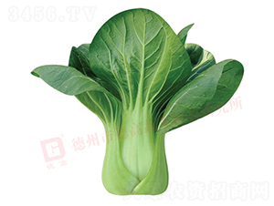 �¸�578-�๣������-�¸�