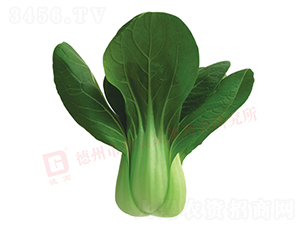 �¸�579-�๣������-�¸�