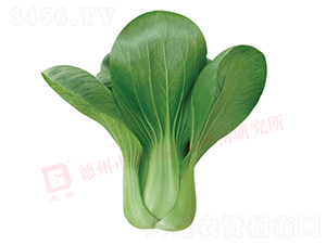 ����������-�¸�328-�๣������-�¸�