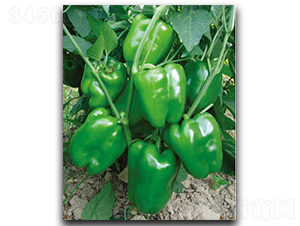 875-��������