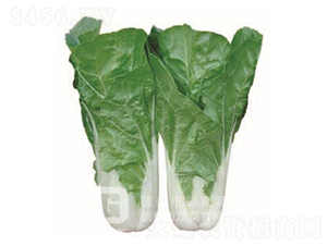 �¸�1138-�������-�¸�