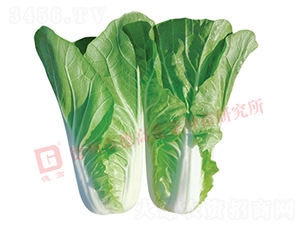 �¸�2293-�������-�¸�