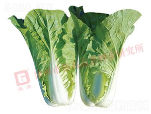 �¸�2142-�������-�¸�