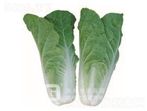 CR188-�๣������-�¸�