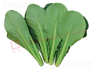 �¸�2588-�������-�¸�