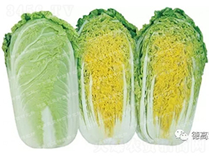 �¸���6-���޲�����-�¸�
