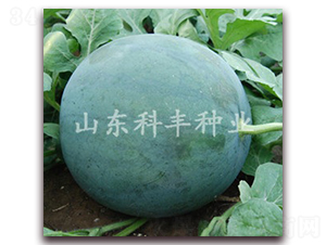 �ڻ�����-��������-�Ʒ���ҵ