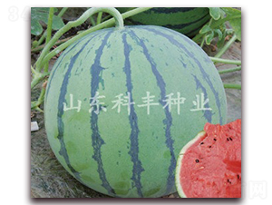 ����8424-��������-�Ʒ���ҵ
