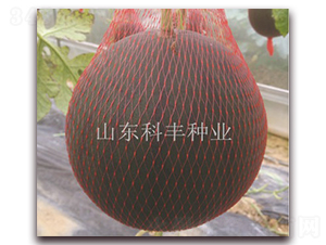 �۱�300-��������-�Ʒ���ҵ