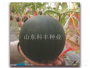 �۱�200-��������-�Ʒ���ҵ