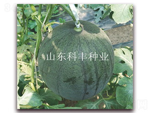 �۱�160-��������-�Ʒ���ҵ