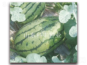 �컨��260-��������-�Ʒ���ҵ