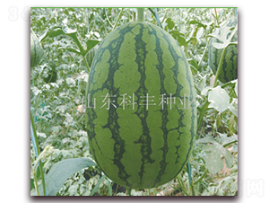 �컨��200-��������-�Ʒ���ҵ