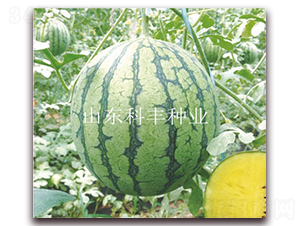 �ƾ���-��������-�Ʒ���ҵ