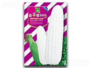 ����Ŵ3000-��������-��԰����