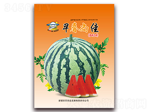 �紺�м�-��������-ũ��ũҵ