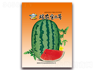 ��ũ��11��-��������-ũ��ũҵ
