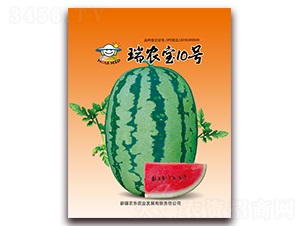 ��ũ��10��-��������-ũ��ũҵ