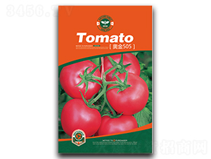 �½�505-��������-��԰����