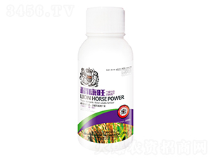 100g������-ʨ����ҵ