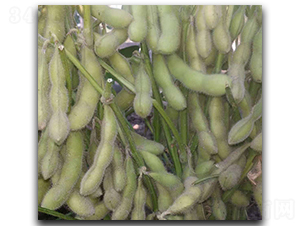 ����95-1-ë������-ï����ҵ