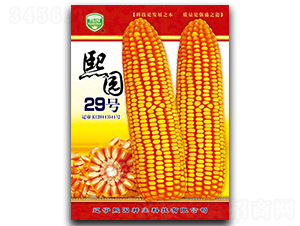 ��԰29��-��������-��԰��ҵ