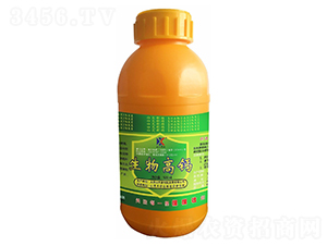 500ml����߸�-ɽ���¿�