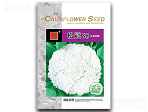 �ɹڡ�88-��������-������ҵ