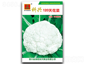 120�컨��-��������-������ҵ