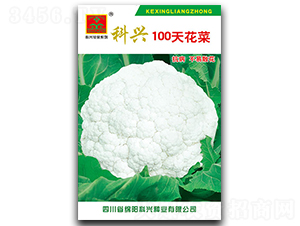 100�컨��-��������-������ҵ