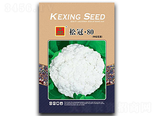 �ɹ�80-��������-������ҵ