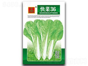 ���36-Ҷ������-������ҵ