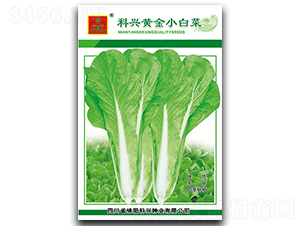�ƽ�С�ײ�-Ҷ������-������ҵ
