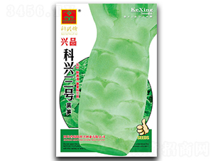 ��������-ݫ������-������ҵ