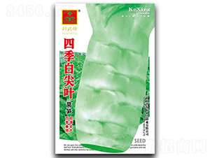 �ļ��׼�Ҷ-ݫ������-������ҵ