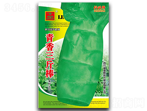 ���������-ݫ������-������ҵ