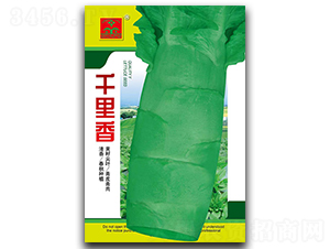 ǧ����-ݫ������-������ҵ