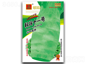 ����ʮһ��-ݫ������-������ҵ