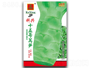 ����ʮ���-ݫ������-������ҵ