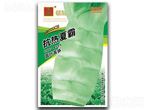 �����İ�-ݫ������-������ҵ