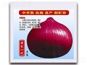 �¾޺����-�������-����ũҵ