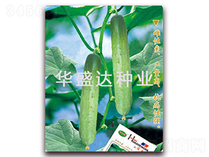 �贺-�ƹ�����-��ʢ��