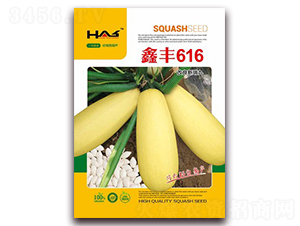 �η�616-��������«����-�β���