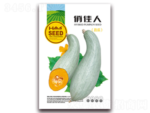 �μ���-�Ϲ�����-�β���