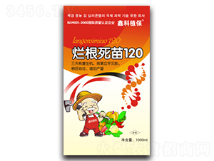 �ø�����120-������˹