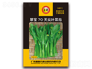 �䱦70��Ҷ����-����ũ